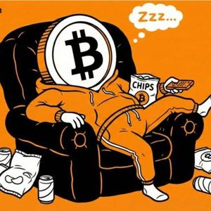 Fidelity Macro Analyst: Bitcoin Might Take a ‘Year off’ in 2026