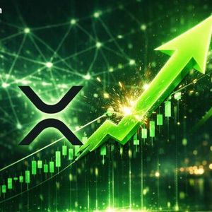 XRP Bull Case Strengthens as ETFs, Treasury Adoption, and On-Chain Utility Converge