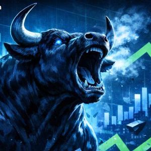 The Bull Case for XRP Rises as Flare Data Confirms Real DeFi Demand