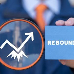 Crypto ETFs Turn Green as Bitcoin Rebounds With $117 Million Inflow