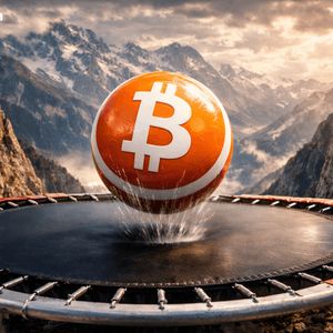 $91K Bitcoin Faces Judgment Day: Bounce or Breakdown?