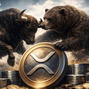 ‘I’ll Keep Buying’: Dave Portnoy Doubles Down on XRP as Price Falls