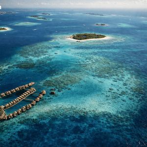 World Liberty Financial Debuts Onchain Real Estate Initiative in Maldives With Securitize