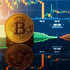 Diamond Hands Win: 85% of Bitcoin Holders Stood Firm Through the February Dip