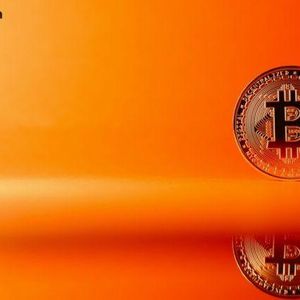 Citrea Foundation Forms to Advance Bitcoin Programmable Infrastructure and Decentralization