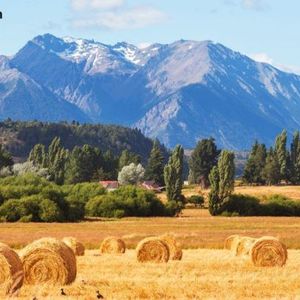 Redotpay Secures Major Regulatory Licenses Across Argentina, Canada, and US