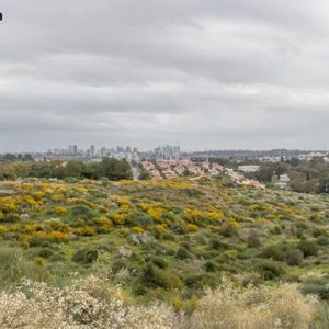 Enlivex Announces $21M Debt Financing and Prediction Markets Treasury Expansion