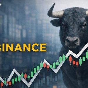Bitcoin Long-Term Holders Return to Accumulation Mode: Binance Sees Early Bull Market Signals