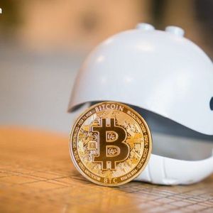 Bitcoin Tests $75,000 as Whales Accumulate 270,000 BTC