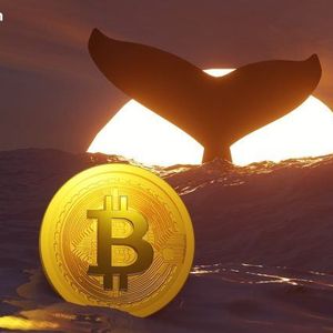 TIm Draper’s $250,000 BTC Call, New Whale Data, and More – Week In Review