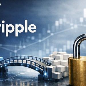 Ripple’s Schwartz Flags DeFi Bridge Trade-Offs After KelpDAO Incident