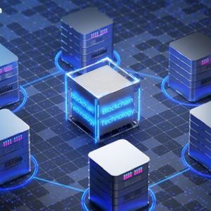 Cardano Foundation CEO: Why the World Needs a ‘Neutral’ Blockchain Settlement Layer