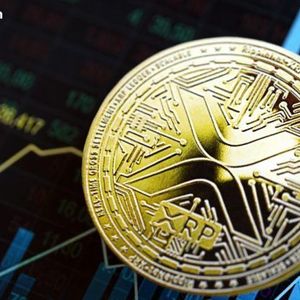 Why Is XRP Unique? Ripple CEO Explains What Makes XRP Stand Out