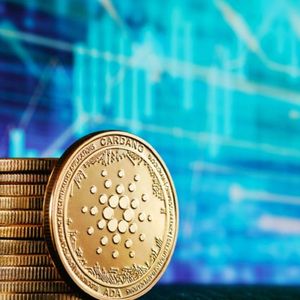 Biggest Movers: ADA, XRP Rebound From Recent Losses on Friday