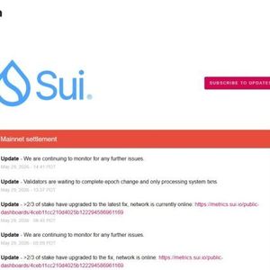 Sui Network Hits Third Transaction Halt in 48-Hour Outage Wave