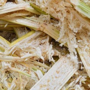 Sugarcane-Powered Bitcoin Mine to Launch in Brazil With Tether Backing