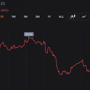 Hype-Driven Rallies Unwind: NEAR and WLD Round-Trip as Zcash Rebounds 18% From Its 50% Drop