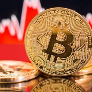 Peter Schiff Poll: Bitcoiners Stand Firm Even if Bitcoin Crashes to $0