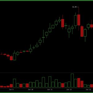 US Shuts Down Two Anthropic Models and Traders Move $2.87B Into Decentralized AI