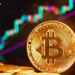 Bitcoin Whales Reverse 12-Day Slide as ‘Massive Supply Shock’ Emerges