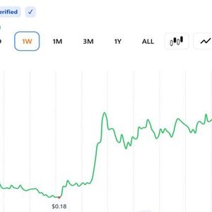 Stellar’s XLM Leads Monthly Crypto Rally With 50% Surge as Tokenized Assets Pile In
