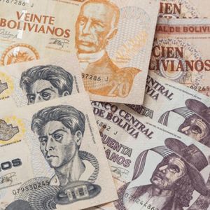 Bolivia Abandons Fixed Exchange Rate Scheme After 15 Years, Adopting a Floating Dollar System
