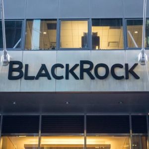 Blackrock Brings 2 Tokenized Money Market Funds to Stablecoin Issuers