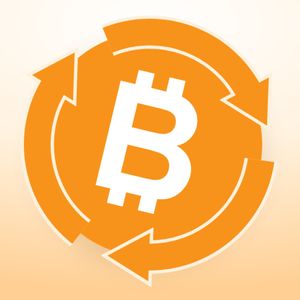 Is ‘This Time Is Different’ Really Different for Bitcoin Price?