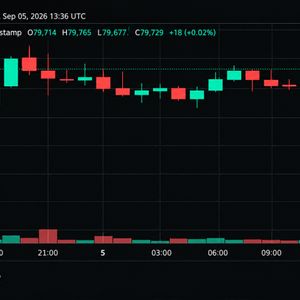 Bitcoin Price Teeters Near $80K as Momentum Starts to Crack