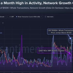 XRP Tops $1.60 as 1,917 Whale Transactions Hit Monthly High