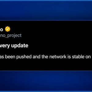 Zano Network Stabilizes After 30-Day Blockchain Rewind