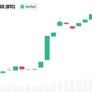 Bitcoin Was the Asset. Now Institutions Are Building Around It