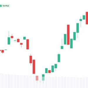 Why XRP Appeals to Institutional Investors, Bitwise CIO Explains