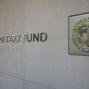 IMF Report Details Why Tokenized Finance Is Struggling to Scale