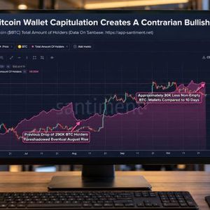 Bitcoin Bottom May Be Near as 30,000 Wallets Disappear: Santiment