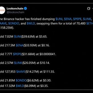 Binance Hacker Dumps $158M in Alts as Sleuths Question Exchange’s Key Story
