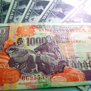 Report: Somalia to Fight Inflation and Counterfeiters With New Banknotes