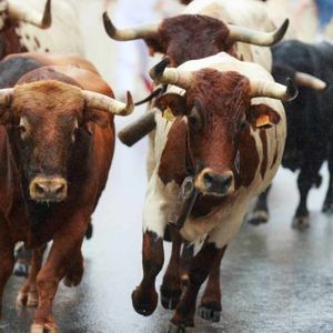 Next Crypto Bull Run Will Start From the East, Says Gemini Co-Founder