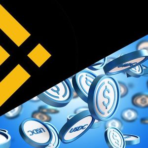 Binance Increases USDC Holdings as BUSD’s Market Cap Slides Lower