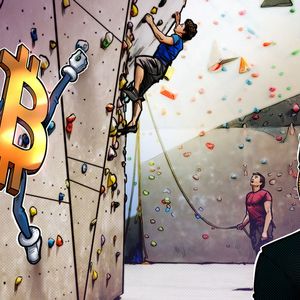 Bitcoin price stumbles amid investors’ aversion to risk assets, but there is a silver lining