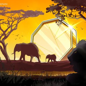Crypto exchange Roqqu receives South African approval to expand operations