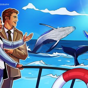 Ethereum whale population drops after Shapella — Will ETH price sink too?