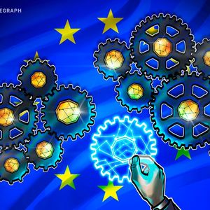 EU needs further efforts to implement crypto regulations: Btc. x CEO