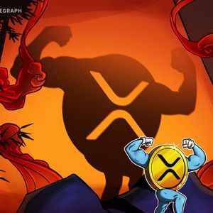 SEC's appeal won't be a setback for XRP holders – Pro XRP lawyer