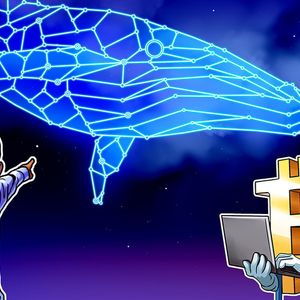Sleeping Bitcoin wallet stirs after 11 years, moving over $30M