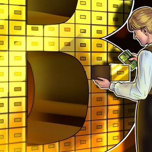 From rugs to riches: UK carpet retailer to adopt Bitcoin Standard