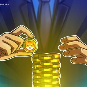 Shiba Inu lead developer queries Coinbase's 'Onchain Summer' campaign