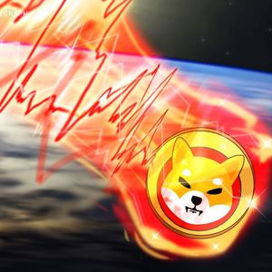 SHIB, BONE, LEASH tokens dip amid rumors of $2.5M Shibarium gaffe
