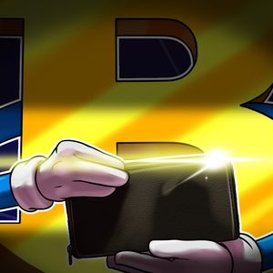 Mysterious Bitcoin wallet becomes 3rd largest BTC holder in 3 months