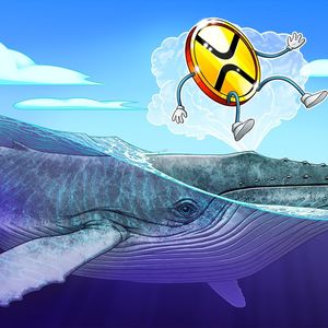 XRP whale moves 29 million tokens to Bitstamp amid price slide